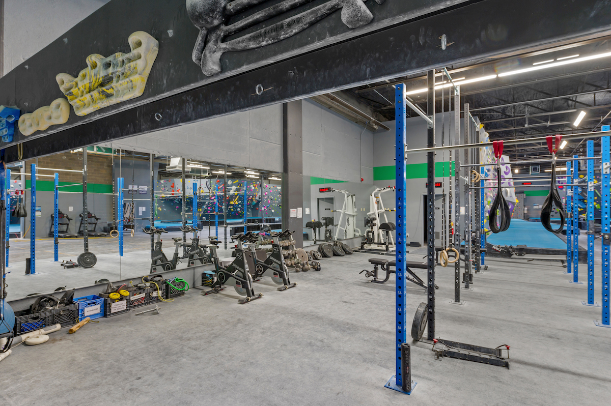 The workout area with weights, racks, and a giant rig for exercising every muscle